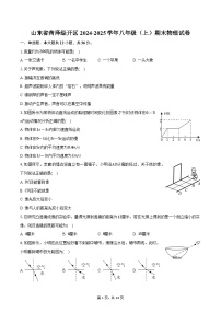 山东省菏泽经开区2024-2025学年八年级（上）期末物理试卷