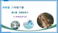 苏科版（2024）八年级下册第十章 压强和浮力物体的浮与沉评课课件ppt