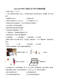 山东省东营市广饶县广饶县乐安中学2024-2025学年八年级上学期12月月考物理试题