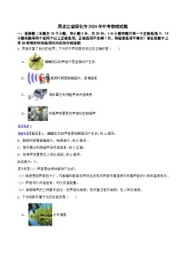 黑龙江省绥化市2024年中考物理试题含真题解析