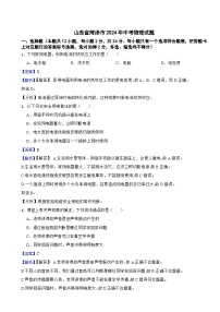 山东省菏泽市2024年中考物理试题含答案解析