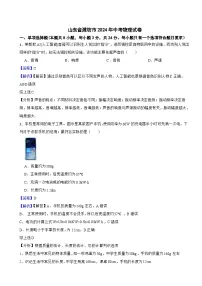 山东省潍坊市2024年中考物理试卷含答案解析