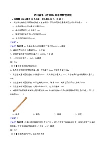 四川省乐山市2024年中考物理试题含答案解析