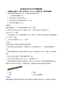 四川省凉山州2024年中考物理试题含答案解析