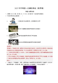 2025年中考第一次模拟考试卷：物理（陕西卷）（解析版）