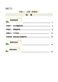 专题10 压强（练习，4大命题点+真题+重难创新）-中考物理一轮复习讲练测（全国通用）