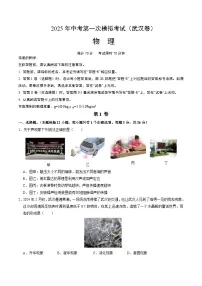 2025年中考第一次模拟考试卷：物理（武汉卷）（原卷版）