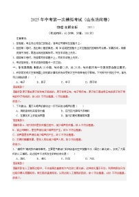 2025年中考第一次模拟考试卷：物理（山东济南卷）（解析版）