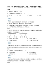 2022-2023学年吉林省延边州九年级上学期物理期中试题及答案