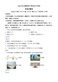 精品解析：2024年云南省中考物理试题（解析版）