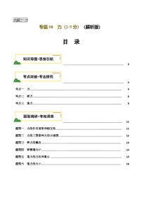 2025年中考物理复习专题复习专题08 力 （讲义）（解析版）