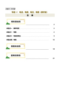 2025年中考物理复习专题复习专题15  电流、电路、电压、电阻（练习）（解析版）