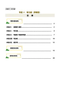 2025年中考物理复习专题复习专题19 电与磁（练习）（原卷版）
