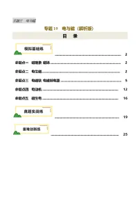 2025年中考物理复习专题复习专题19 电与磁（练习）（解析版）