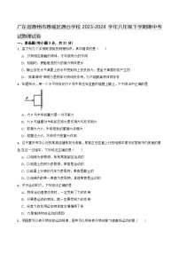 广东省惠州市惠城区惠台学校2023-2024学年八年级下学期期中考试物理试卷