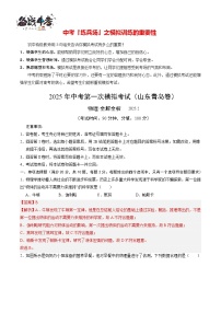 中考物理（山东青岛卷--2025年中考物理第一次模拟考试（考试卷+答题卷+解析+答案）