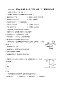 吉林省长春市经开区2024-2025学年九年级上学期期末物理试卷