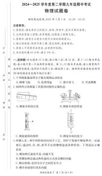2024-2025学年长沙市一中集团九年级下学期期中考试物理试题及参考答案