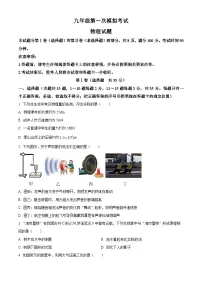 2025年山东省泰安市新泰市中考一模物理试题（原卷版+解析版）