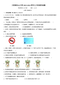四川师范大学附属青台山中学2023-2024学年九年级下学期3月月考物理试卷