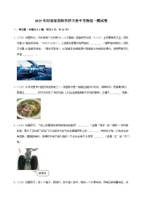 2025年河南省洛阳市伊川县中考物理一模试卷