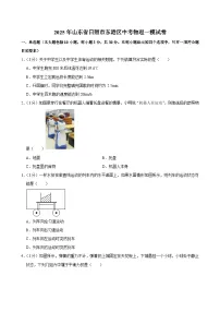 2025年山东省日照市东港区中考物理一模试卷