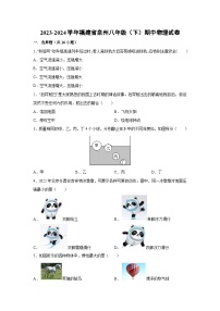 福建省泉州2023-2024学年八年级下学期期中物理试卷