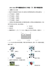 福建省泉州2023-2024学年八年级下学期期中物理试卷