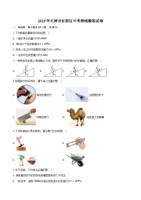 2025年天津市红桥区中考物理模拟试卷-普通用卷【含答案】