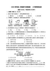 上海市闵行区部分学校2024-2025学年八年级下学期期中考试物理试题