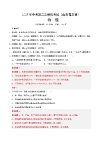 2025年中考第二次模拟考试卷：物理（山东青岛卷）（解析版）
