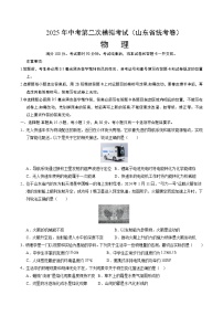 2025年中考第二次模拟考试卷：物理（山东省统考卷）(考试版)