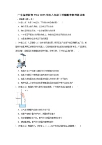 广东省深圳市2024-2025学年八年级下学期期中物理练习卷
