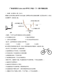 广东省深圳市2024-2025学年八年级（下）期中物理试卷