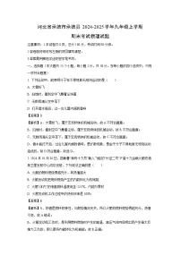 河北省承德市承德县2024-2025学年九年级上学期期末物理试卷（解析版）