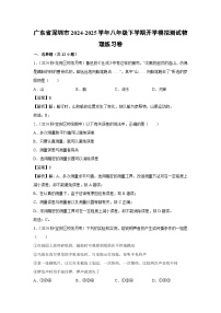 广东省深圳市2024-2025学年八年级下学期开学适应性模拟测试练习卷物理试卷（解析版）