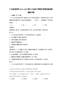 广东省深圳市2024-2025学年八年级下学期开学适应性模拟测试练习卷物理试卷（解析版）