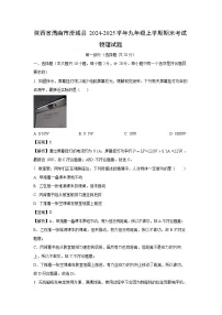 陕西省渭南市澄城县2024-2025学年九年级上学期期末物理试卷（解析版）