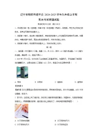 辽宁省朝阳市建平县2024-2025学年九年级上学期期末物理试卷（解析版）