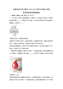 河南省驻马店上蔡县2024-2025学年九年级上学期期末素质测试物理试卷（解析版）