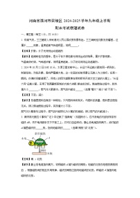 河南省漯河市召陵区2024-2025学年九年级上学期期末考试物理试卷（解析版）