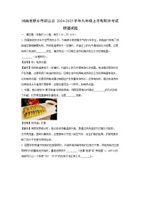 河南省新乡市封丘县2024-2025学年九年级上学期期末物理试卷（解析版）