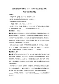 河南省南阳市新野县2024-2025学年九年级上学期期末物理试卷（解析版）