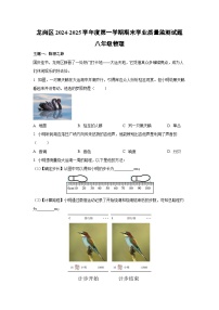 广东省深圳市龙岗区2024-2025学年八年级上学期期末考试物理试卷（解析版）