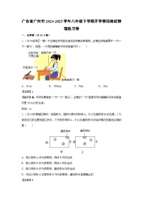 广东省广州市2024-2025学年八年级下学期开学适应性模拟测试练习卷物理试卷（解析版）