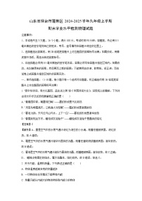 山东省烟台市蓬莱区2024-2025学年九年级上学期期末学业水平检测物理试卷（解析版）