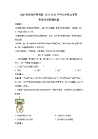 山东省济南市莱芜区2024-2025学年九年级上学期期末考试物理试卷（解析版）