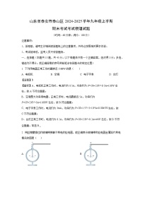 山东省泰安市泰山区2024-2025学年九年级上学期期末考试物理试卷（解析版）