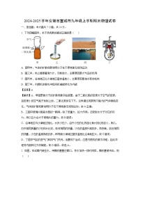 安徽省宣城市2024-2025学年九年级上学期期末物理试卷（解析版）