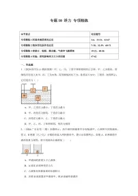 专题10 浮力 专项精练（含答案）2025年中考物理一轮复习重难题型精讲精练（全国通用）[完整版]